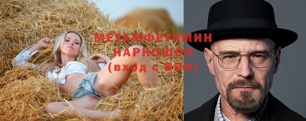 гидра Алексин