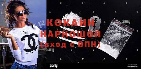 индика Аркадак