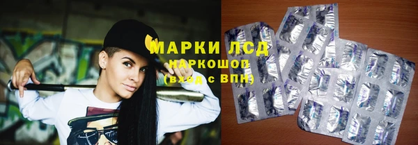 индика Аркадак
