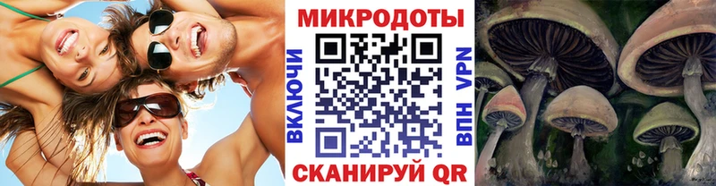 Псилоцибиновые грибы Psilocybe Тайшет