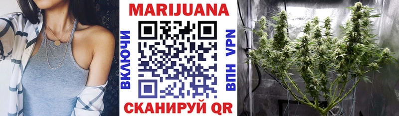 Бошки марихуана планчик  дарнет шоп  Тайшет 